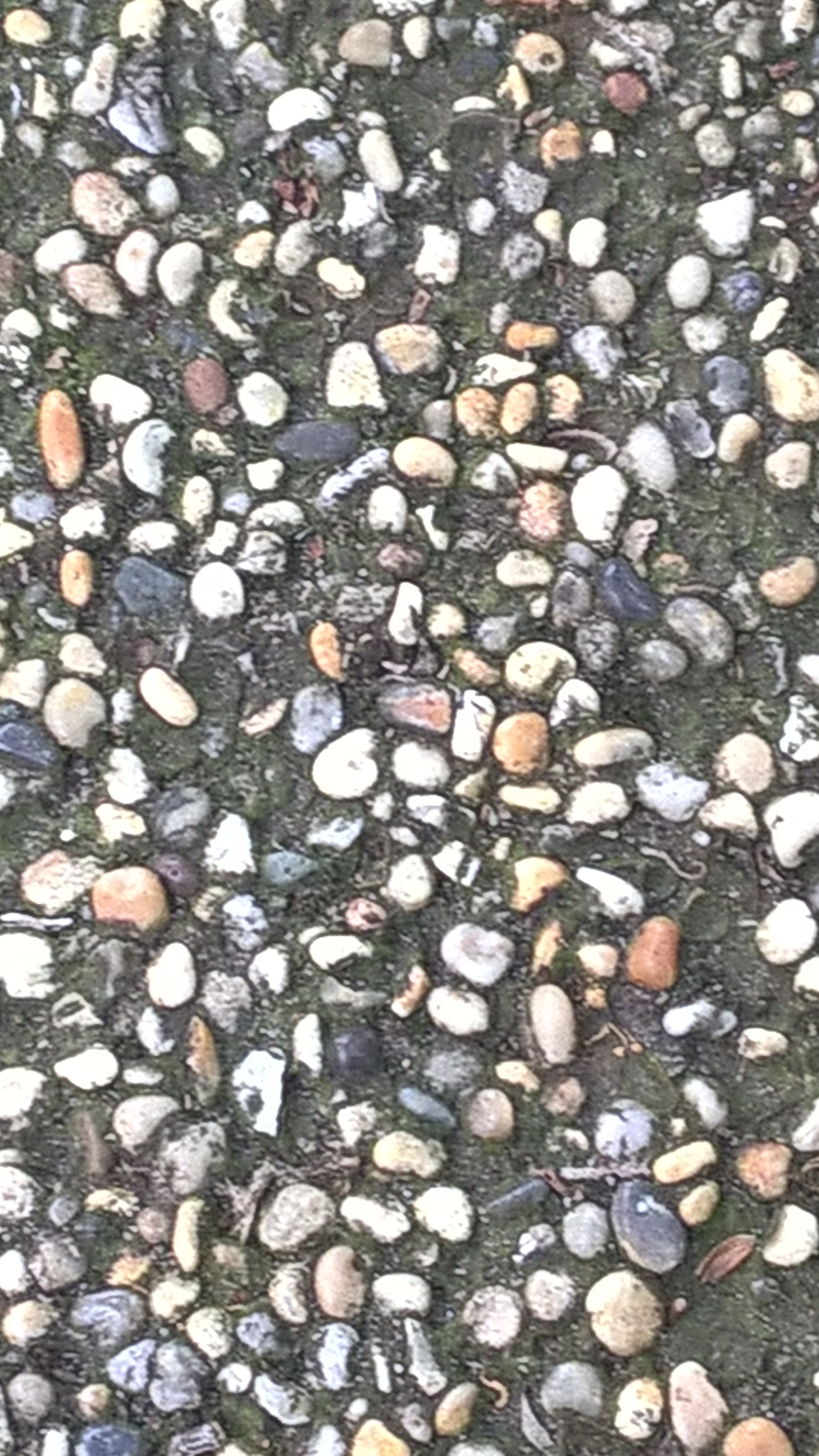 4 - Physical standards can be used to help develop and define touch attributes in the context of consumer products. Credit Carol Raithatha Limited.jpg