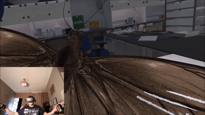 Touch in the Virtual 4