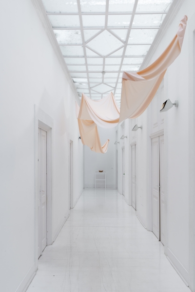 The skin you left behind.jpg